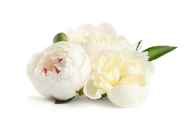 Photo of Beautiful fresh peony flowers with green leaves isolated on white