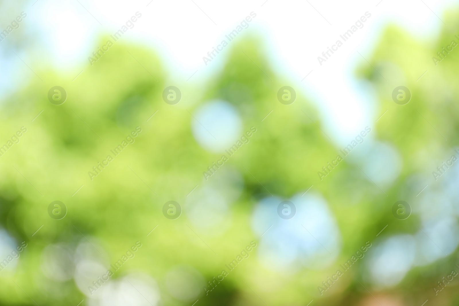 Photo of Blurred view of abstract green background. Bokeh effect