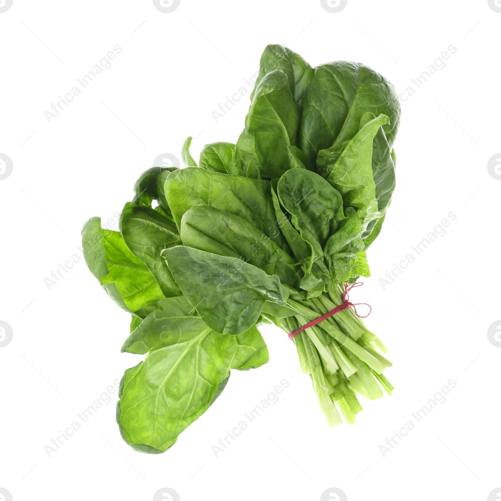 Photo of Bundle of fresh spinach isolated on white