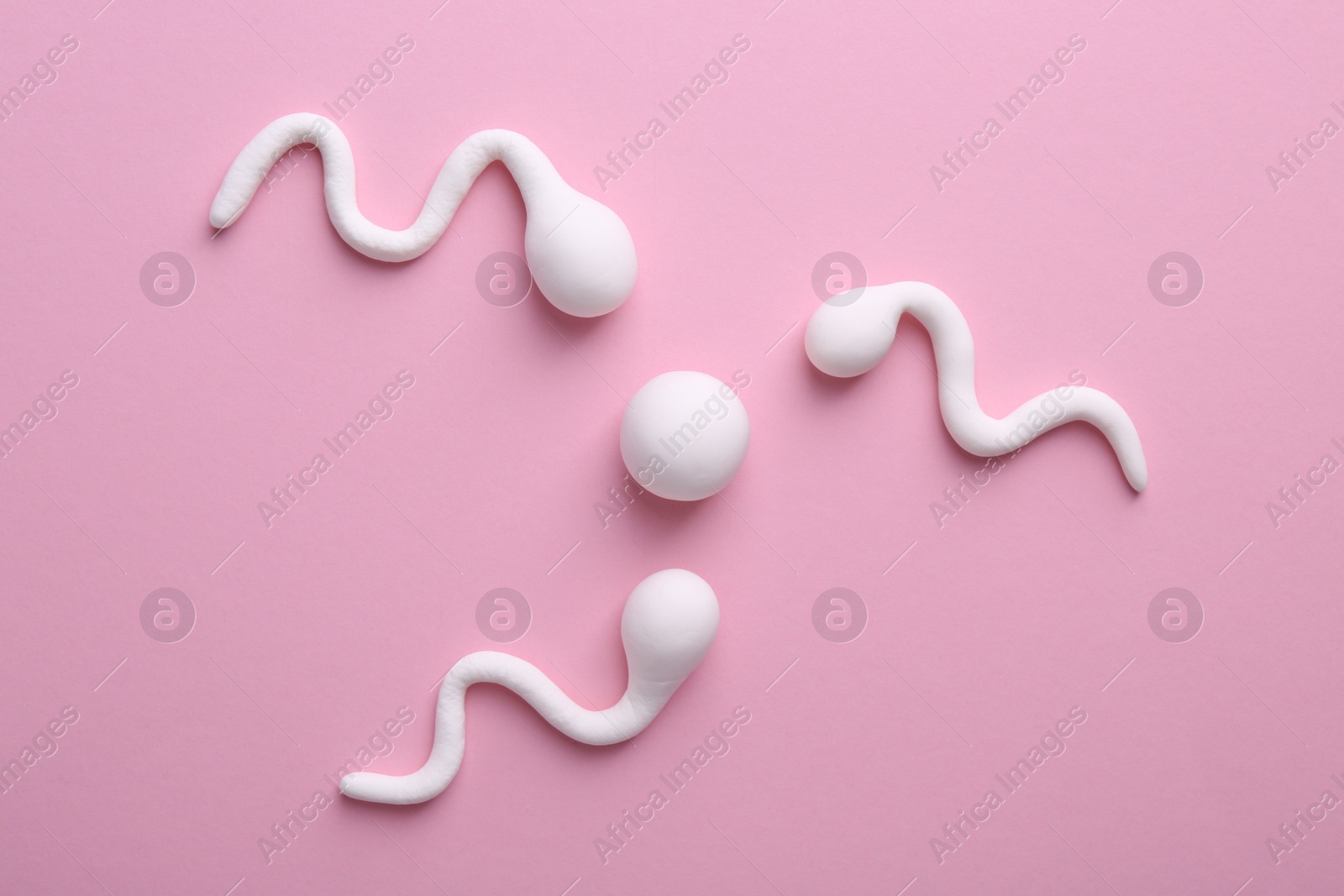 Photo of Fertilization concept. Sperm cells swimming towards egg cell on pink background, top view