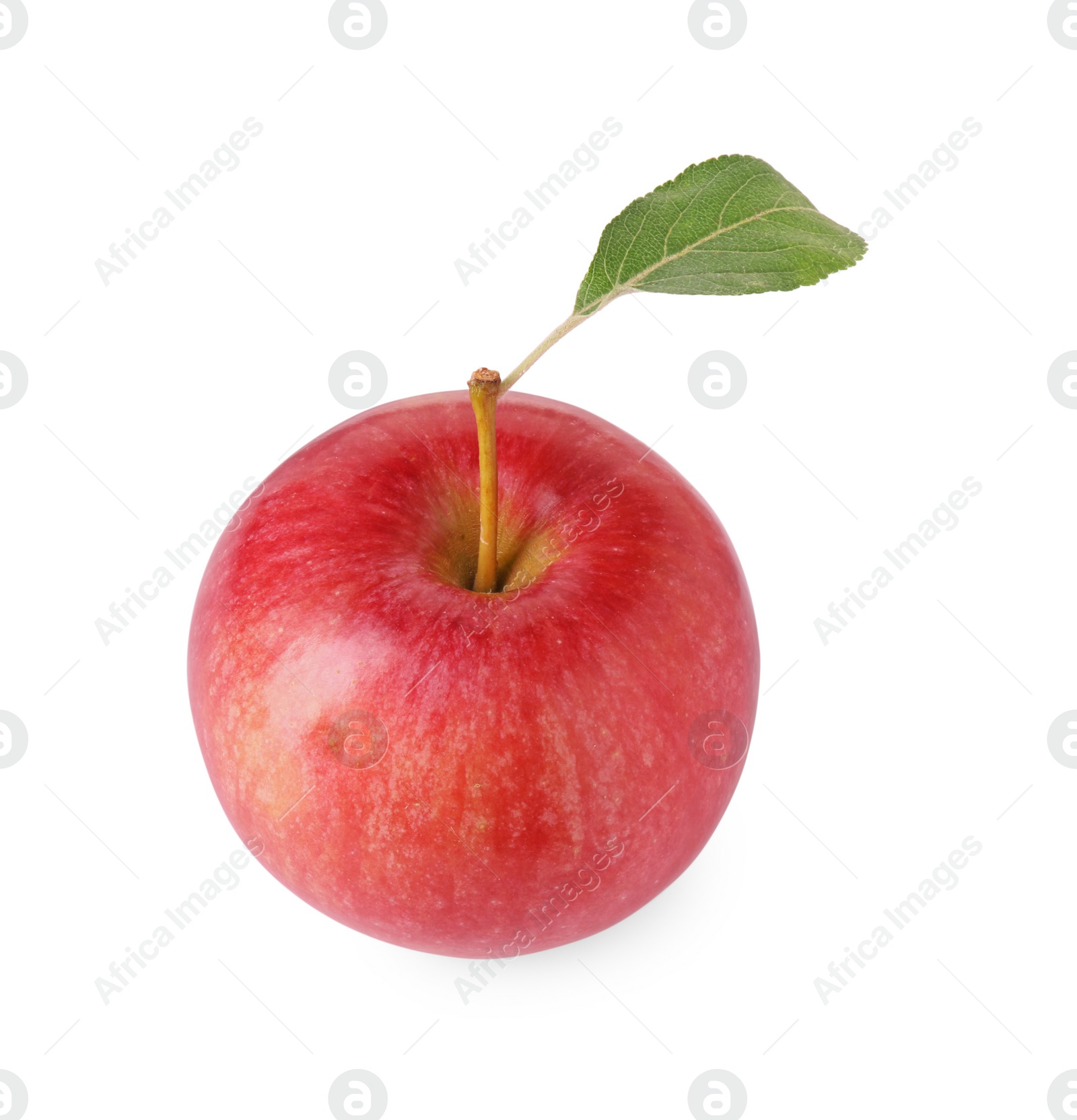 Photo of One ripe red apple with leaf isolated on white