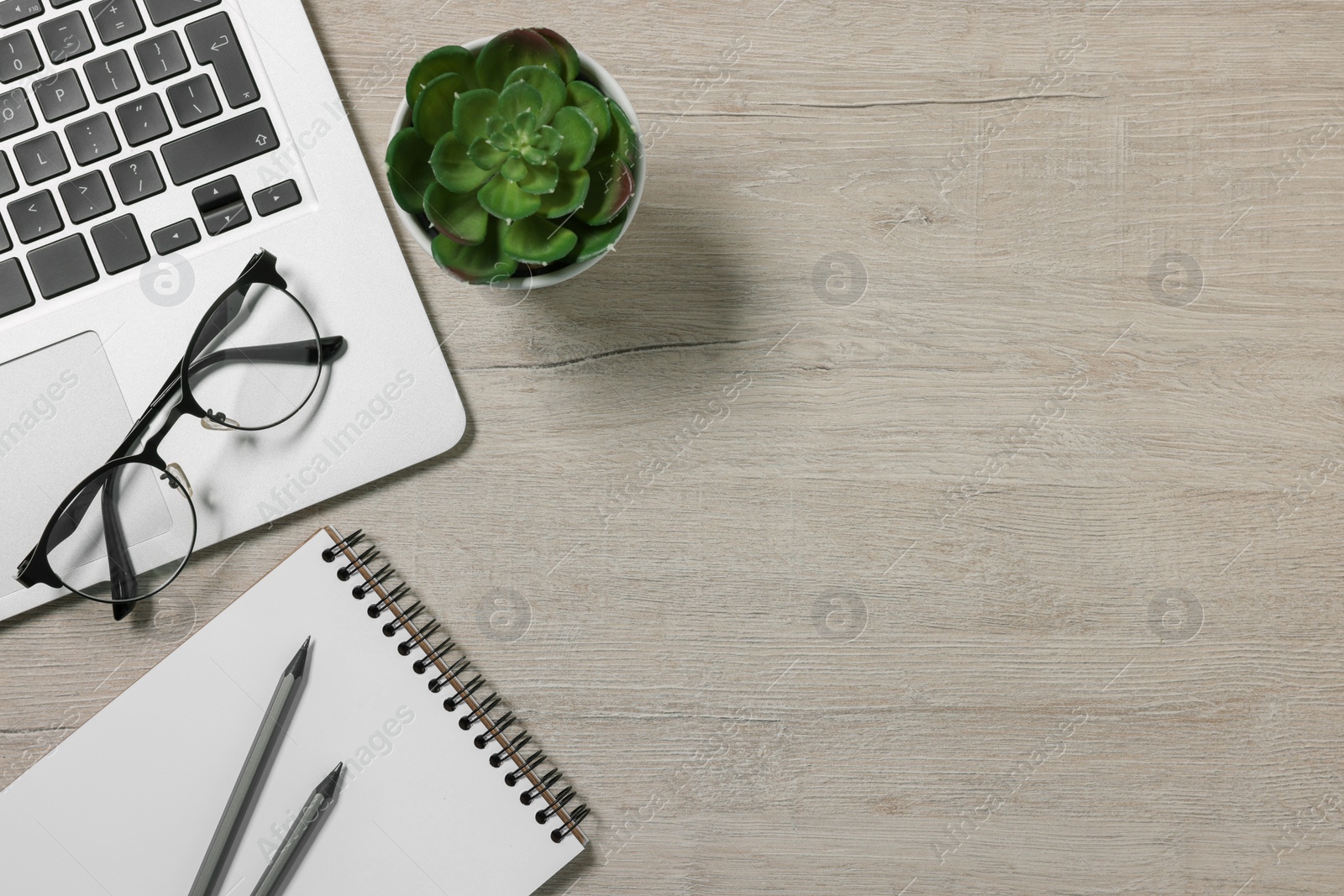 Photo of Home office. Laptop, glasses, houseplant and stationery on white wooden desk, flat lay. Space for text