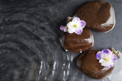 Stones and flowers in water on dark background, flat lay with space for text. Zen lifestyle