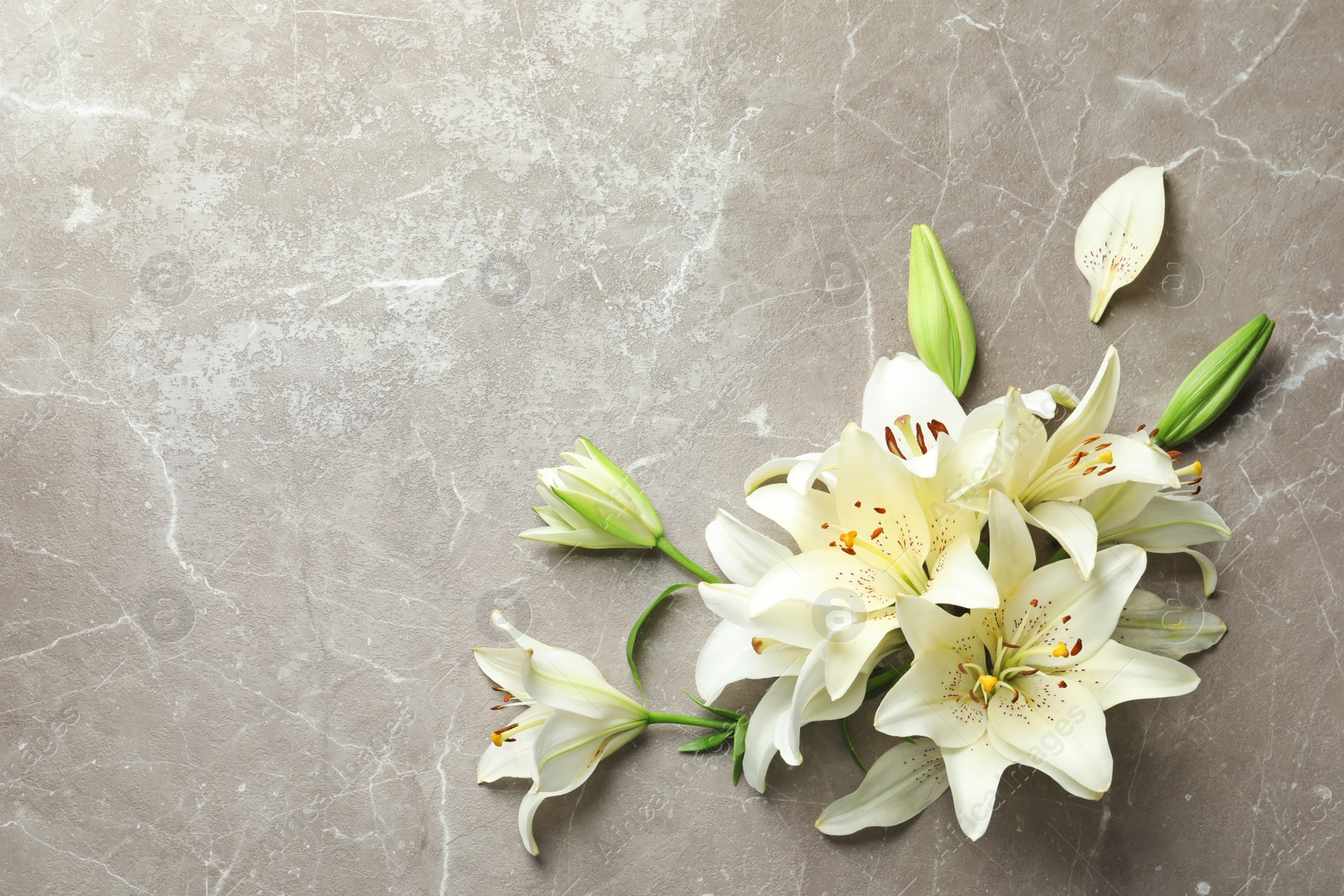 Photo of Flat lay composition with lily flowers on grey background