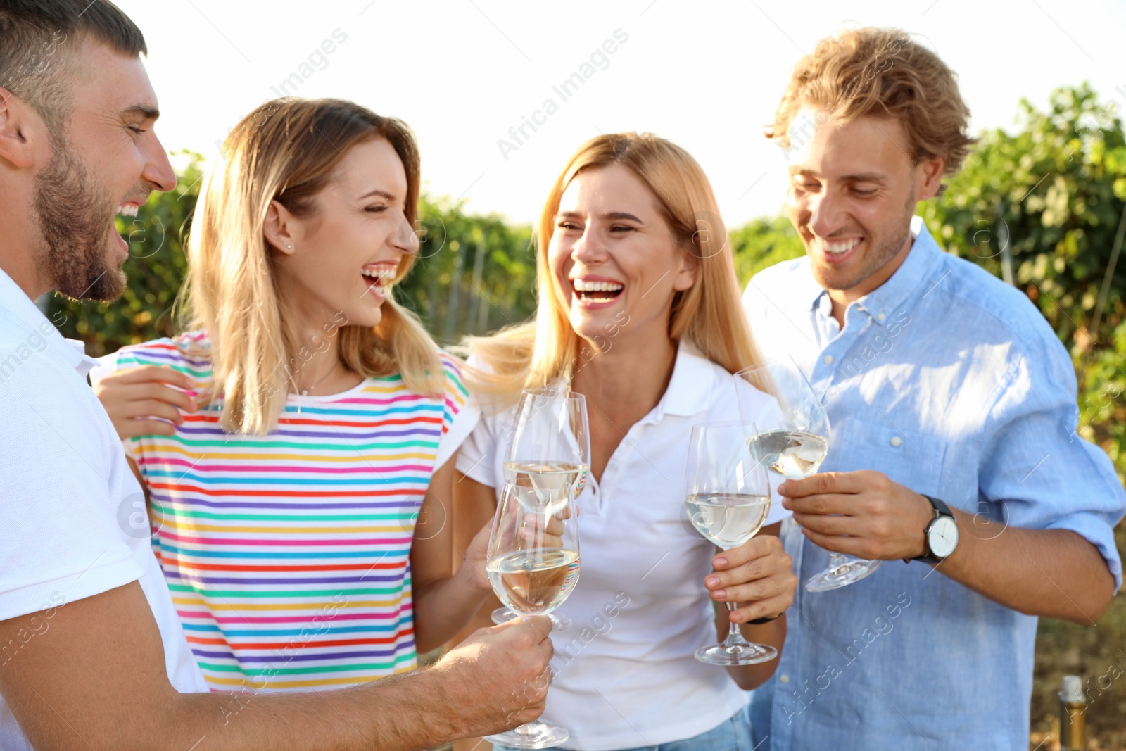 Photo of Friends holding glasses of wine and having fun on vineyard picnic