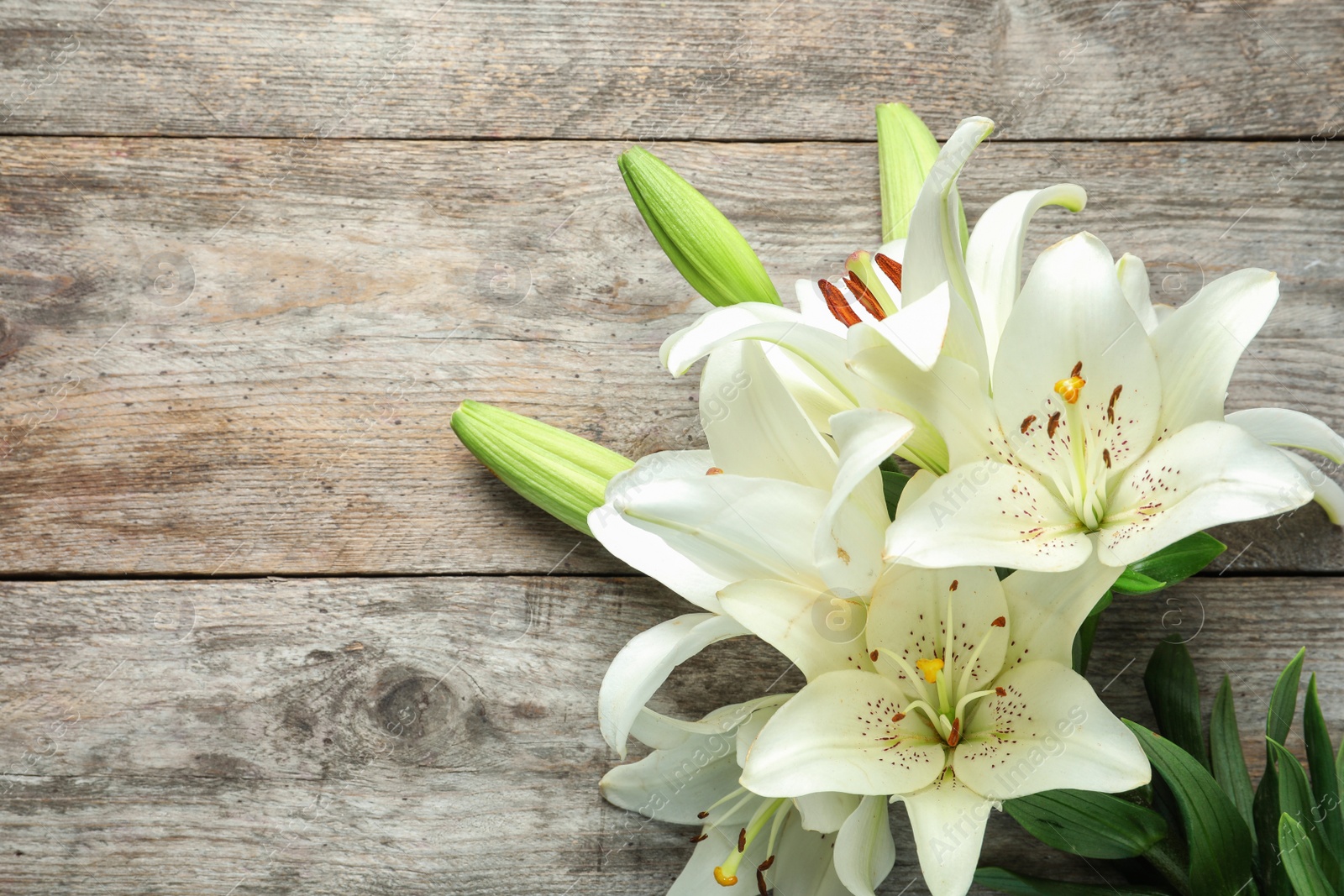 Photo of Flat lay composition with beautiful blooming lily flowers on wooden background