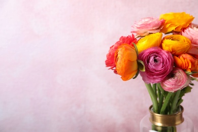 Photo of Beautiful fresh ranunculus flowers on color background, closeup. Space for text