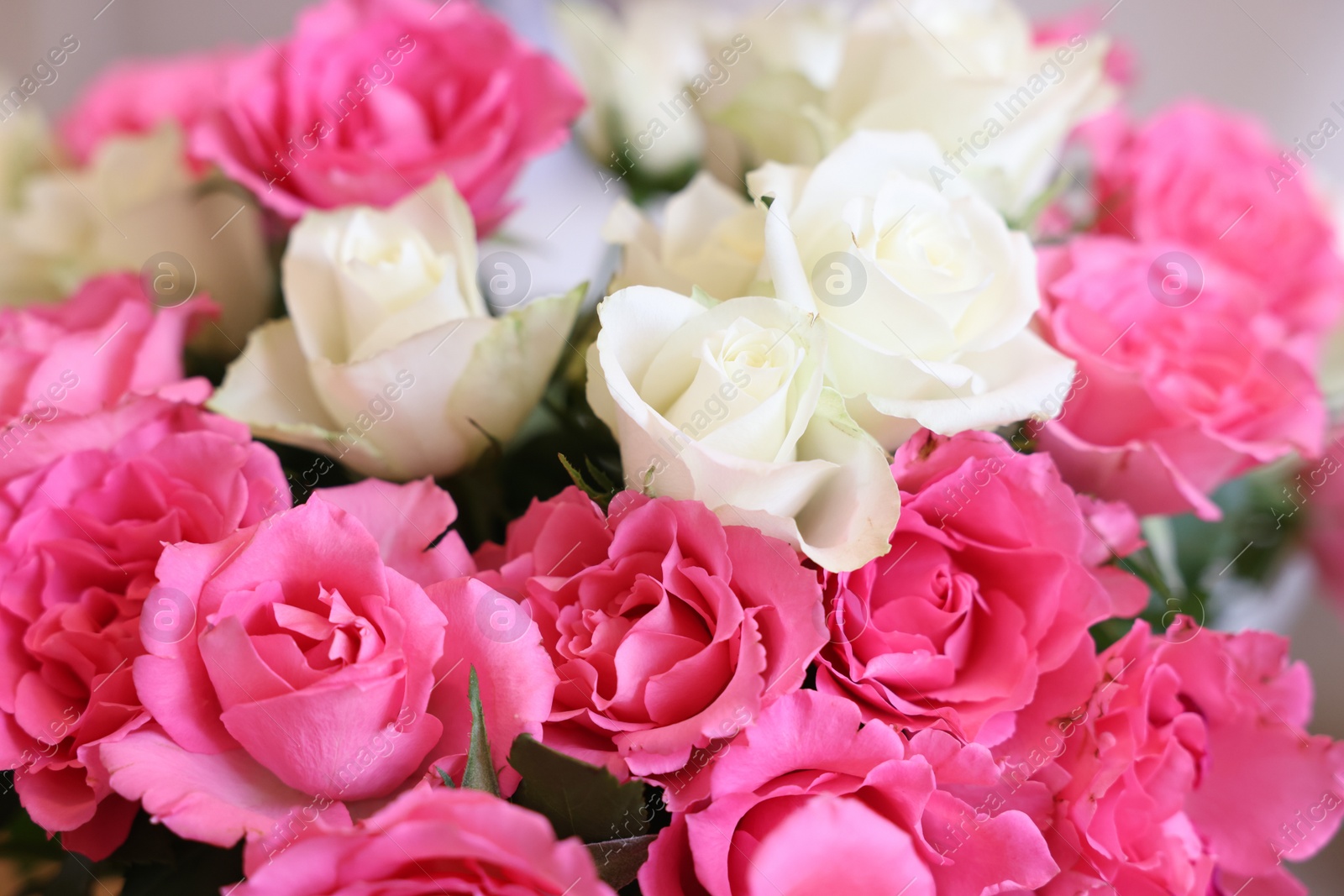 Photo of Beautiful bouquet of roses on blurred background, closeup