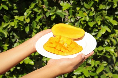 Photo of Woman holding plate with sliced tasty mango outdoors, closeup