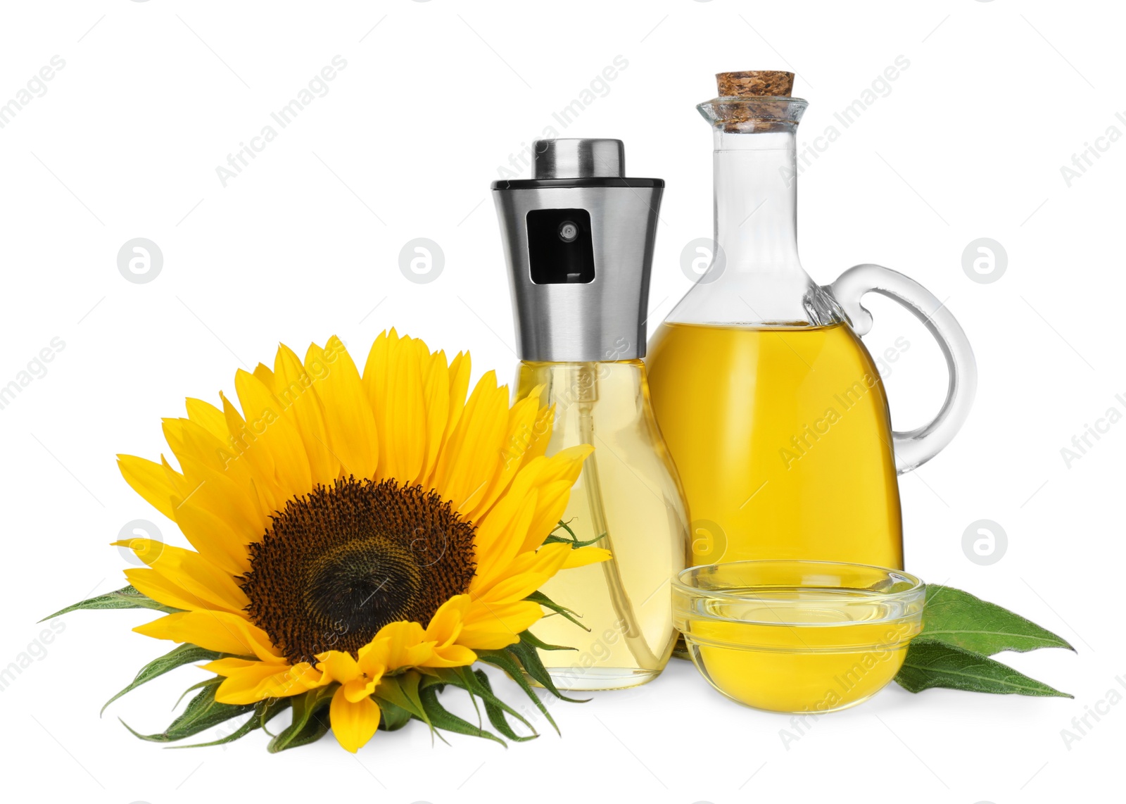 Photo of Cooking oil and sunflower on white background