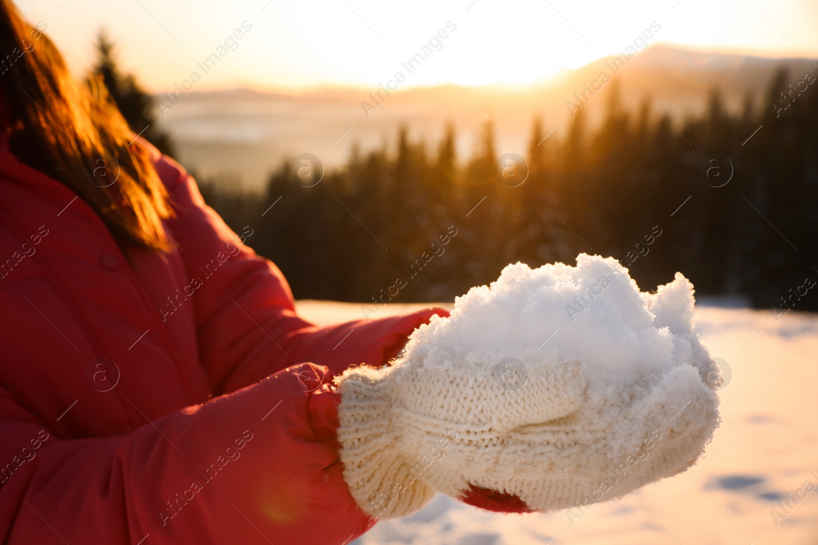 Photo of Woman holding pile of snow outdoors, closeup. Winter vacation