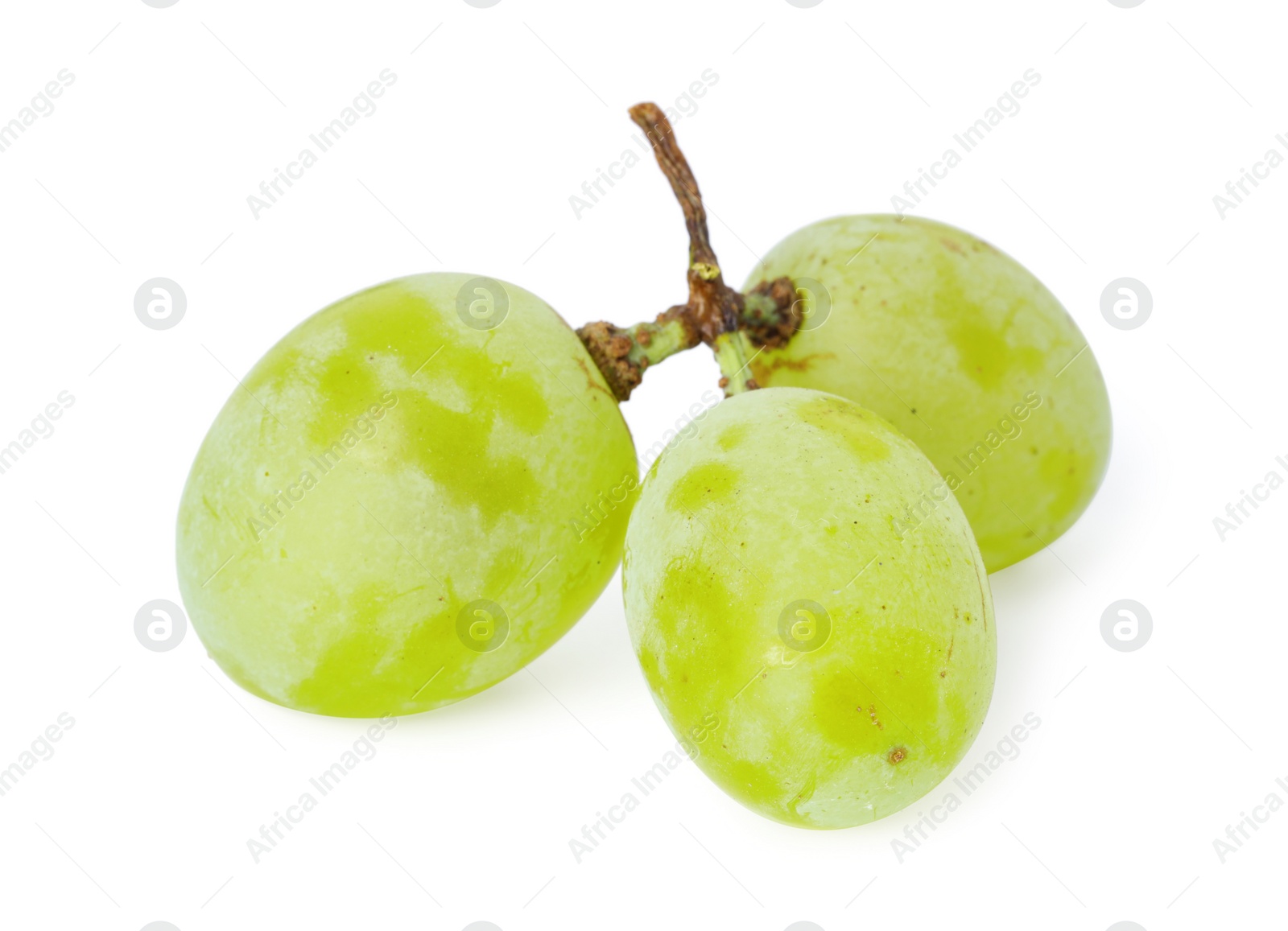 Photo of Delicious ripe green grapes isolated on white