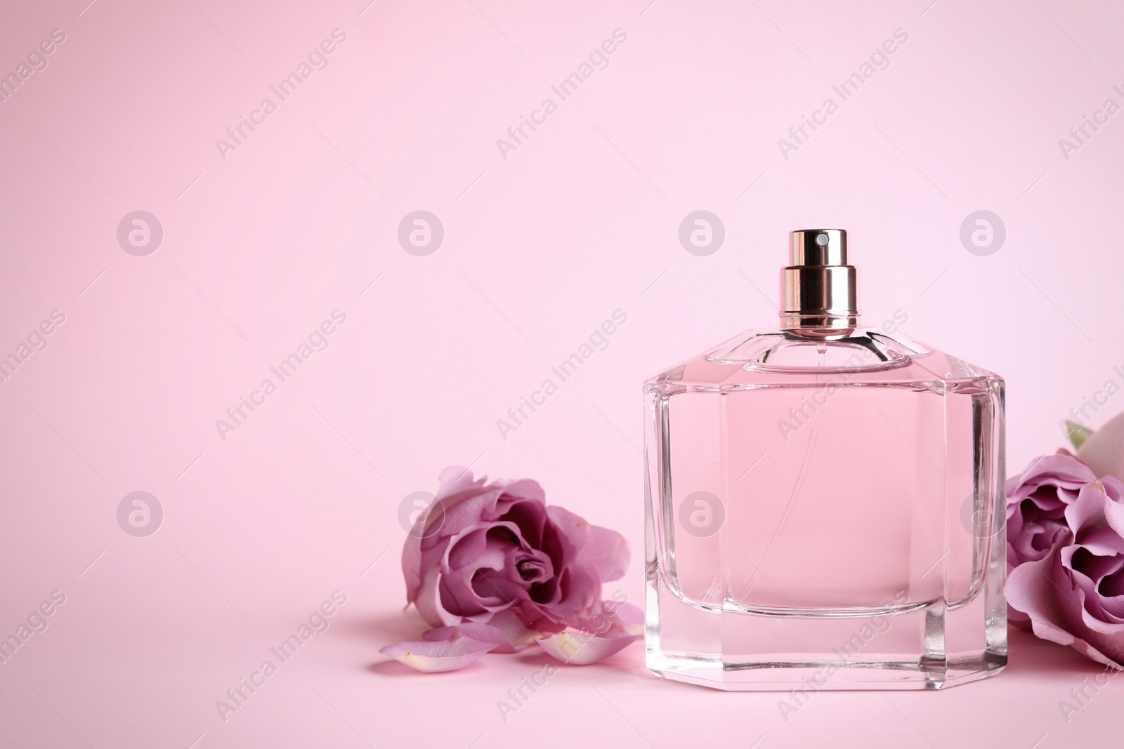 Photo of Bottle of perfume and beautiful roses on pink background. Space for text