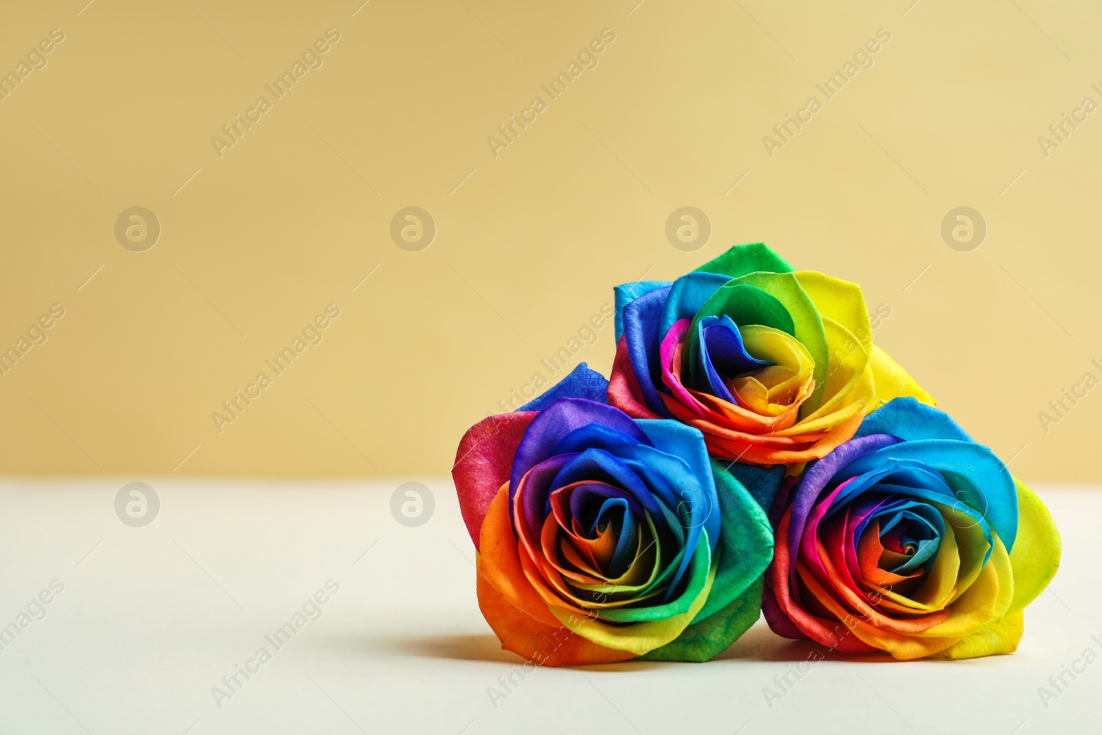 Photo of Rainbow rose flowers on table against color background