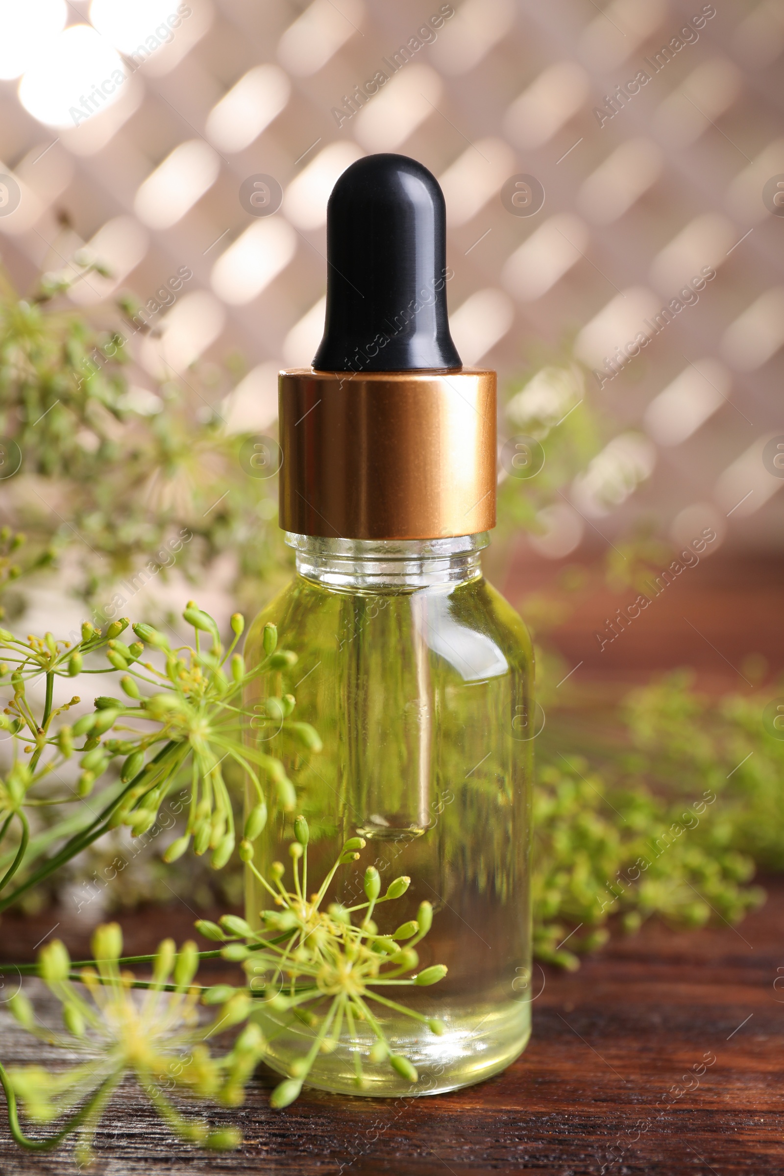 Photo of Bottle of essential oil and fresh dill on wooden table, closeup