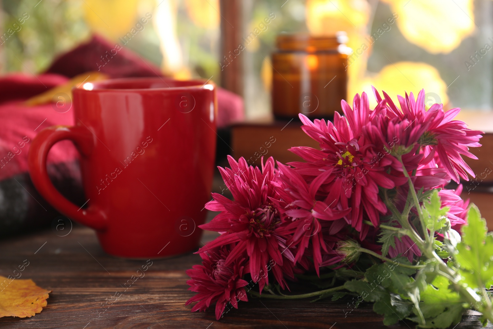 Photo of Beautiful chrysanthemum flowers and cup of hot drink on wooden table, closeup. Autumn still life