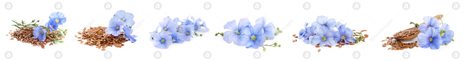 Image of Set with flax seeds and flowers on white background. Banner design