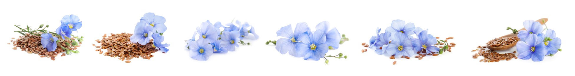 Set with flax seeds and flowers on white background. Banner design