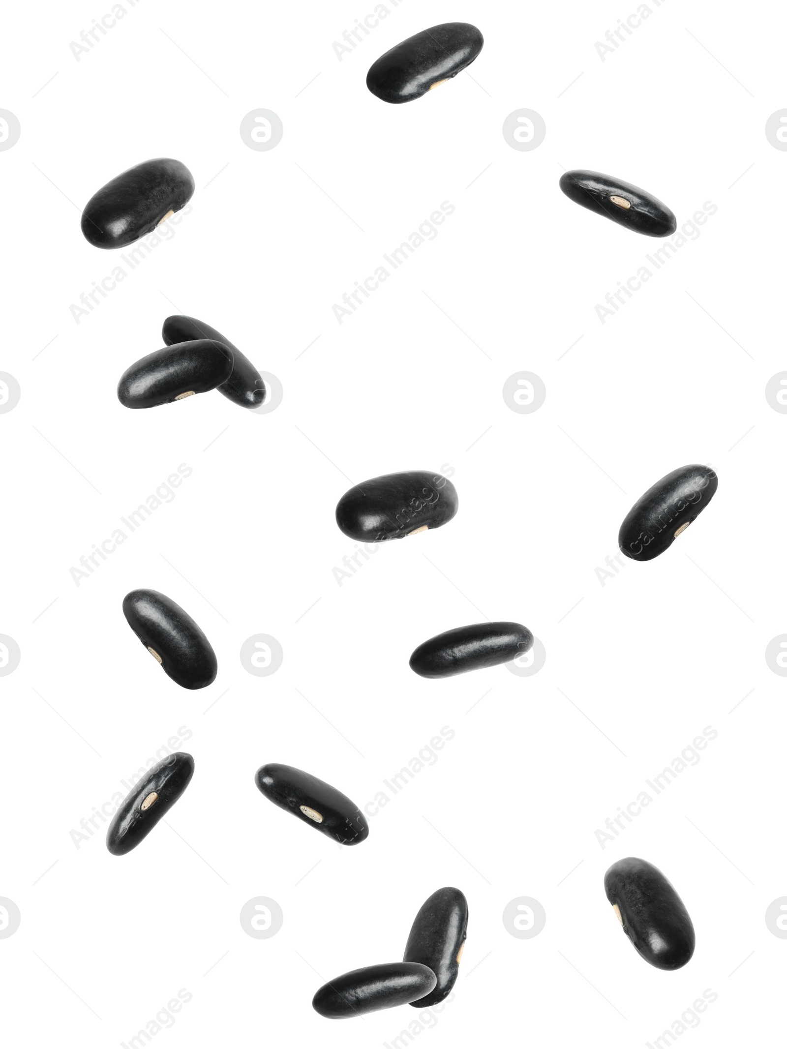 Image of Many black beans falling on white background. Vegan diet 