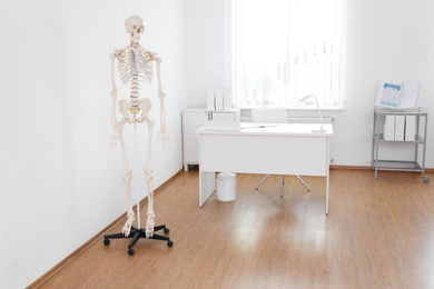 Human skeleton model in modern orthopedist's office