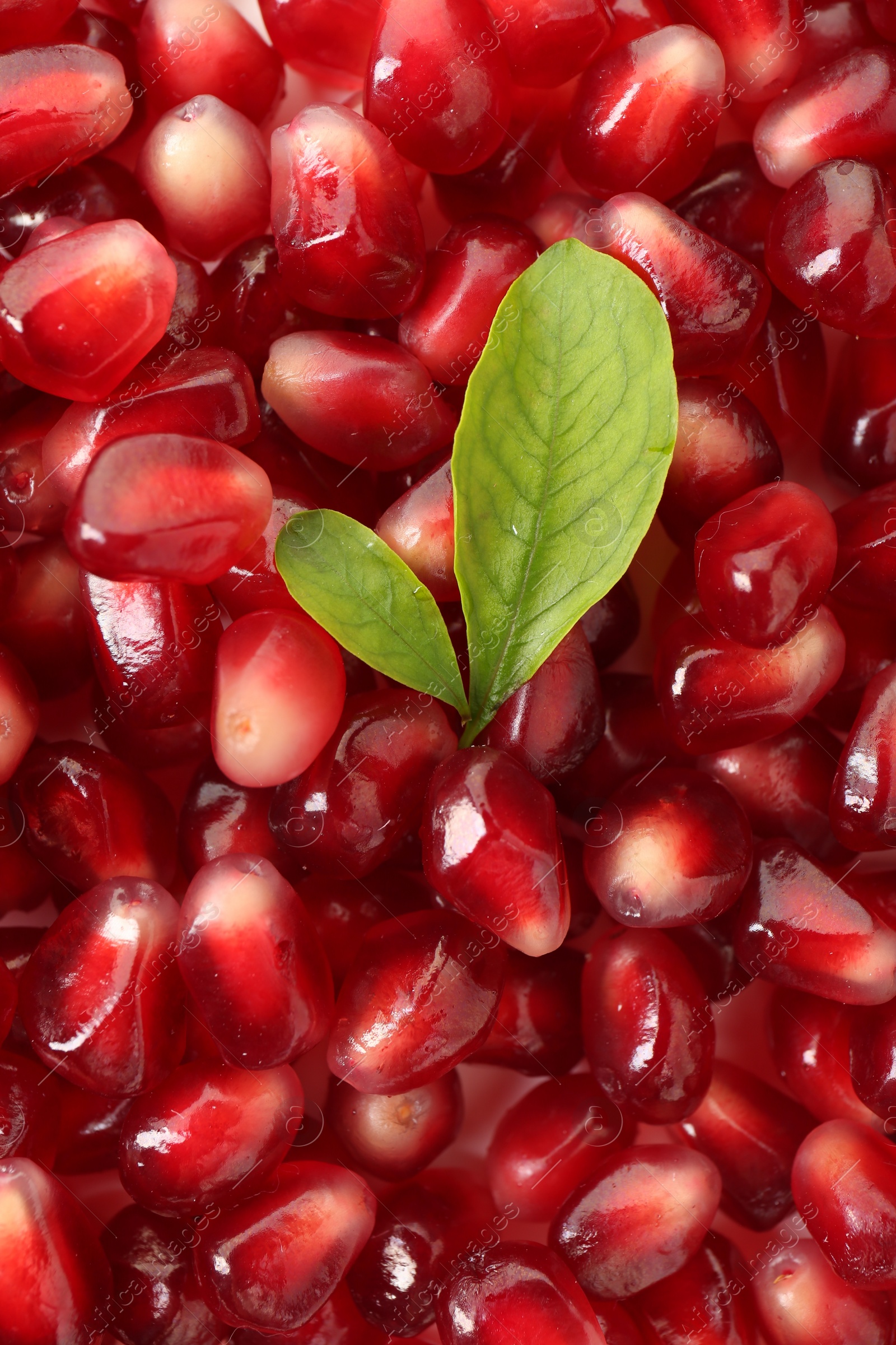 Photo of Green leaves on ripe juicy pomegranate grains, top view