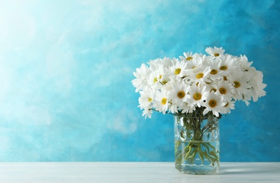 Vase with beautiful chamomile flowers on table against color background. Space for text