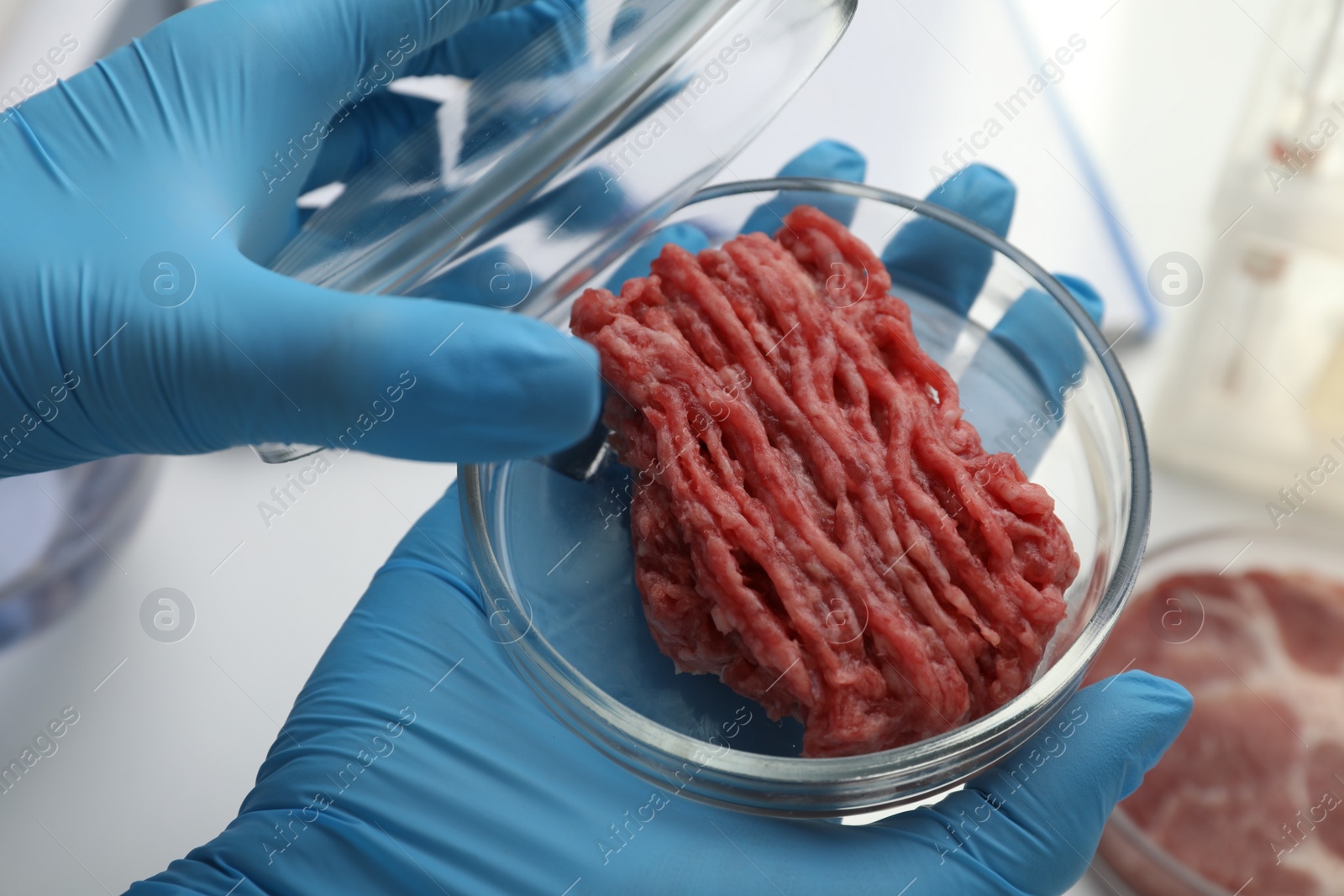 Photo of Scientist holding Petri dish with minced cultured meat in laboratory, closeup