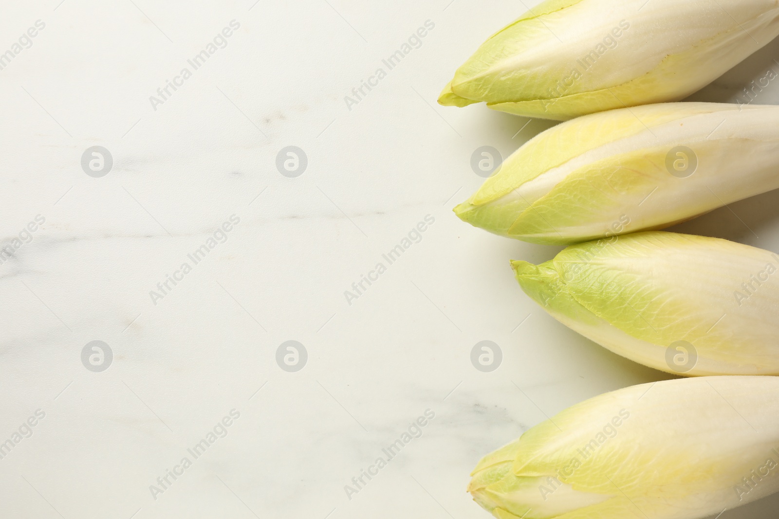 Photo of Raw ripe chicories on white marble table, top view. Space for text