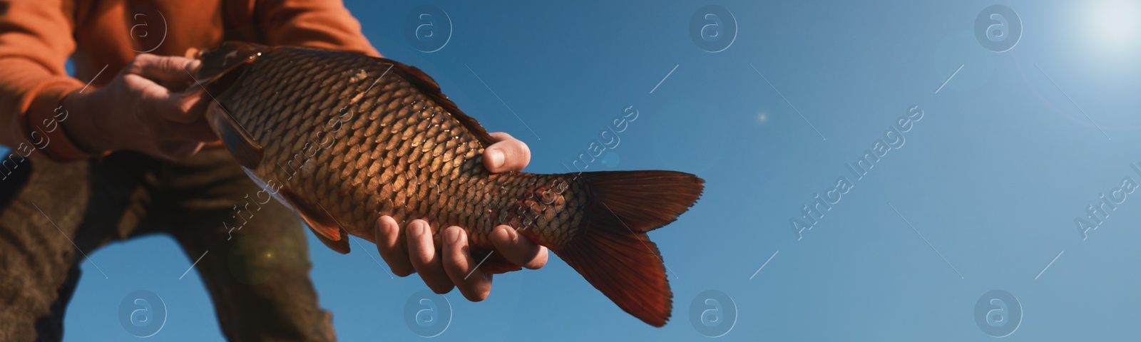 Image of Fisherman holding caught fish against blue sky, closeup view with space for text. Banner design