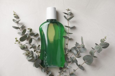 Fresh mouthwash in bottle and eucalyptus branches on light background, top view