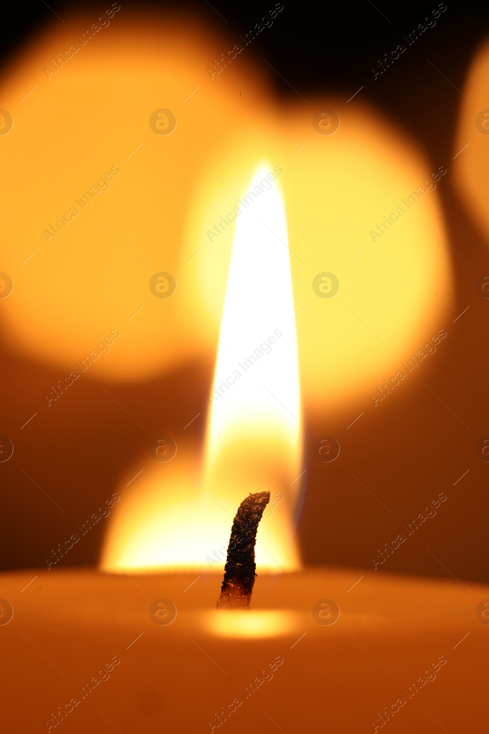 Photo of Burning wax candles on blurred background, closeup