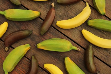 Many different bananas on wooden table, flat lay