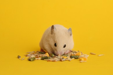 Photo of Cute little hamster eating on yellow background