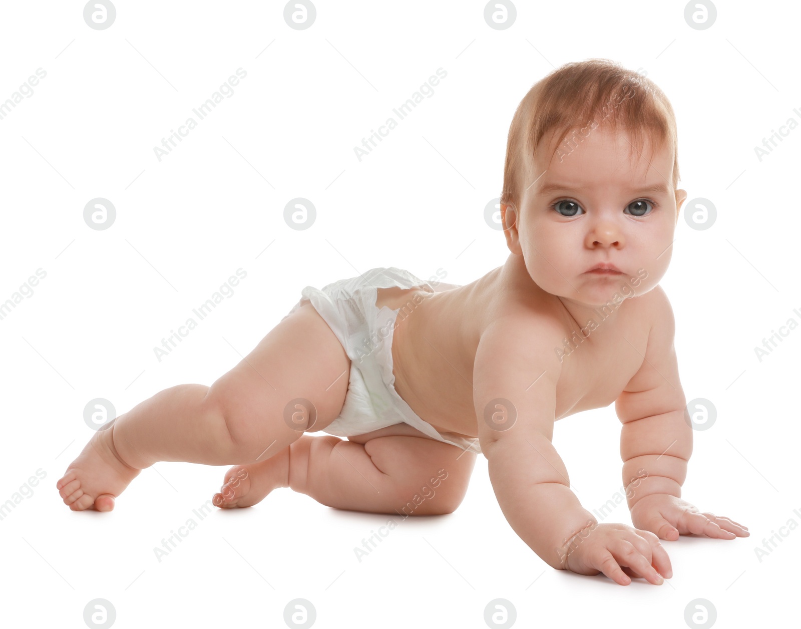 Photo of Cute little baby crawling on white background