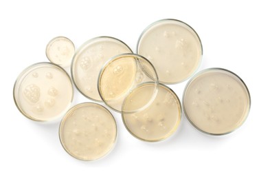 Petri dishes with color liquid samples on white background, top view