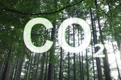 Image of Concept of clear air. CO2 inscription and beautiful green trees, low angle view