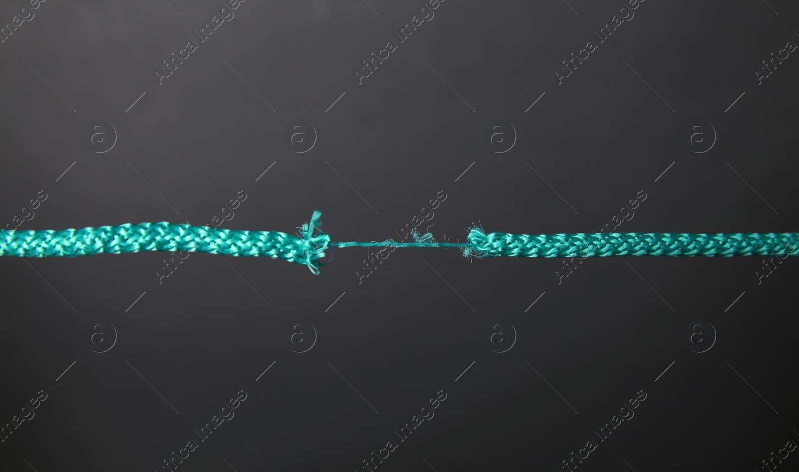 Photo of Frayed rope at breaking point on gray background