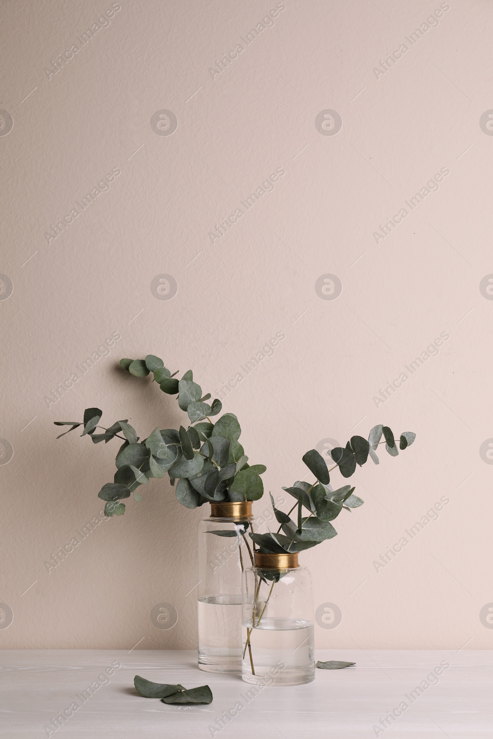 Photo of Vases with beautiful eucalyptus branches on white wooden table near beige wall. Space for text