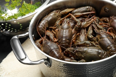 Fresh raw crayfishes in pot on table, closeup