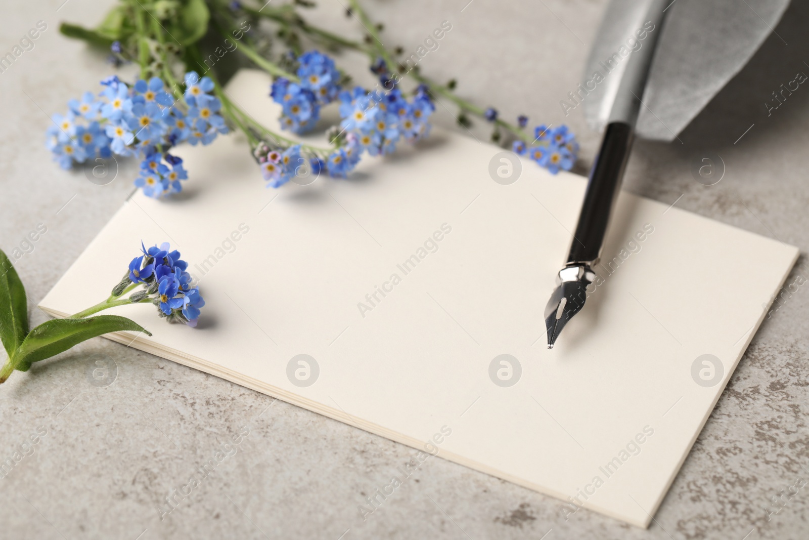 Photo of Beautiful Forget-me-not flowers, blank paper and feather pen on grey table