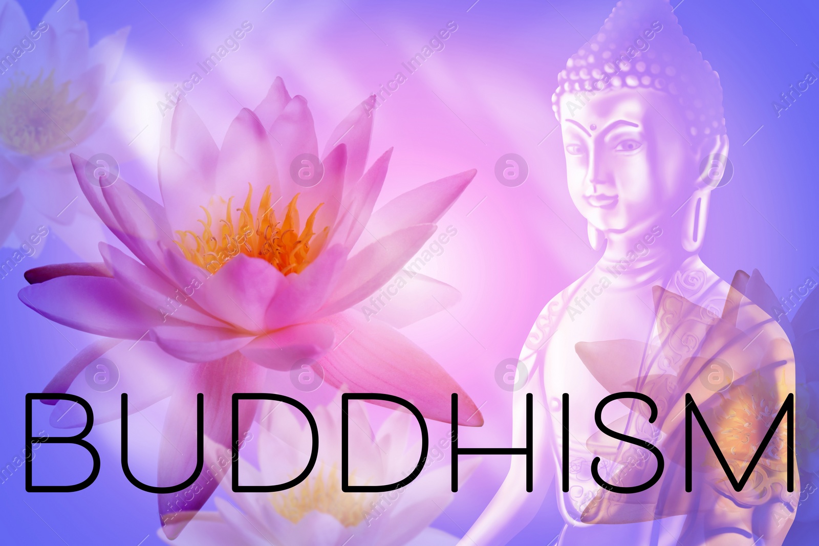 Image of Buddhism. Double exposure of lotus flowers and Buddha figure