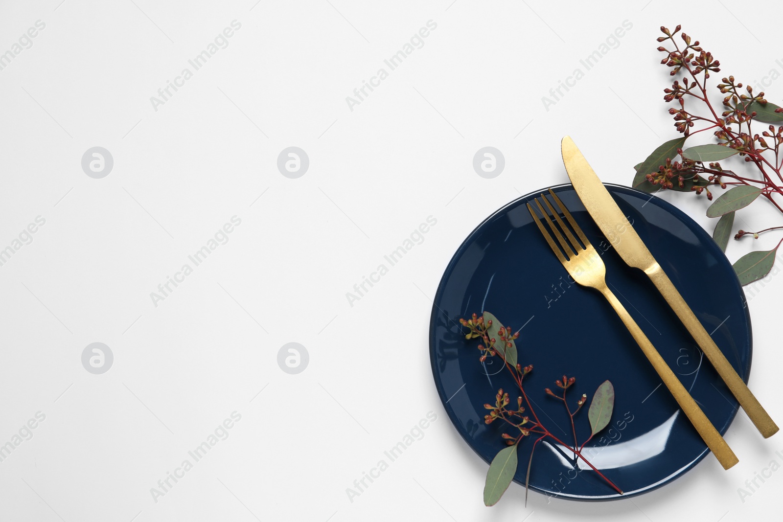 Photo of Stylish setting with cutlery and eucalyptus leaves on white background, top view. Space for text