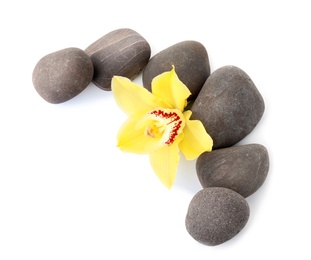 Photo of Spa stones and beautiful orchid on white background, top view