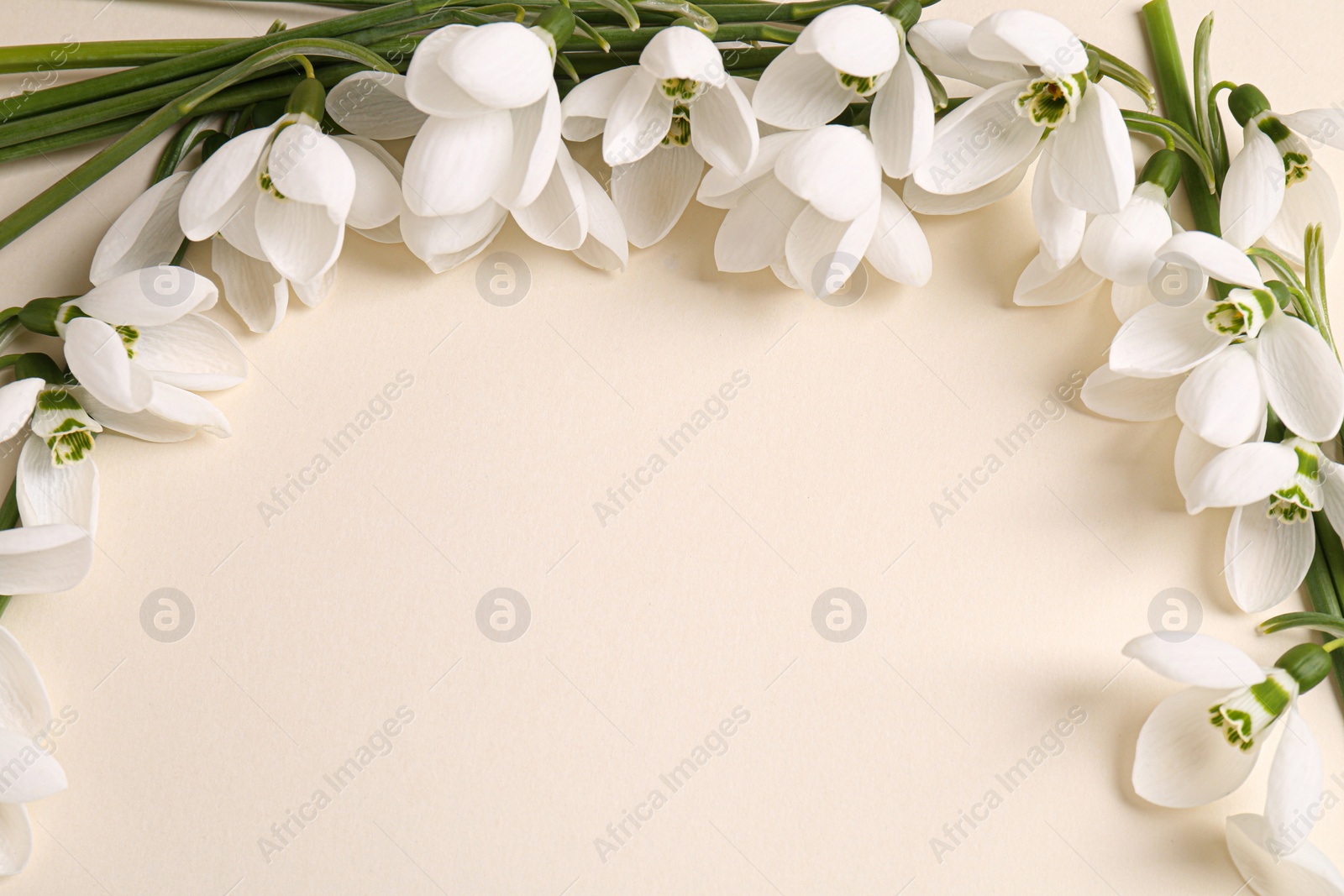 Photo of Beautiful snowdrops on beige background, closeup. Space for text