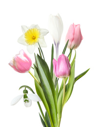 Bouquet of beautiful spring flowers on white background