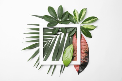 Photo of Beautiful composition with tropical leaves and frame on white background, top view