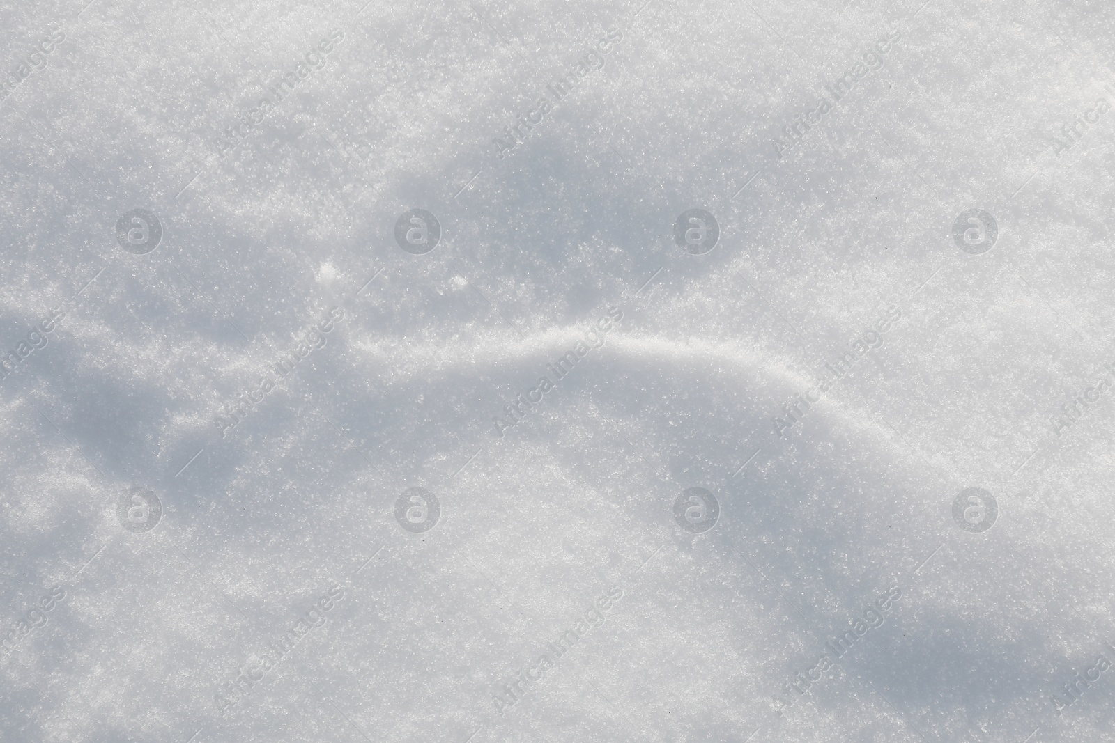 Photo of White snow as background, top view. Winter season