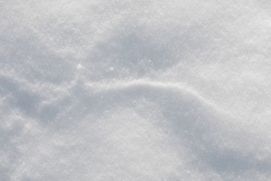 Photo of White snow as background, top view. Winter season