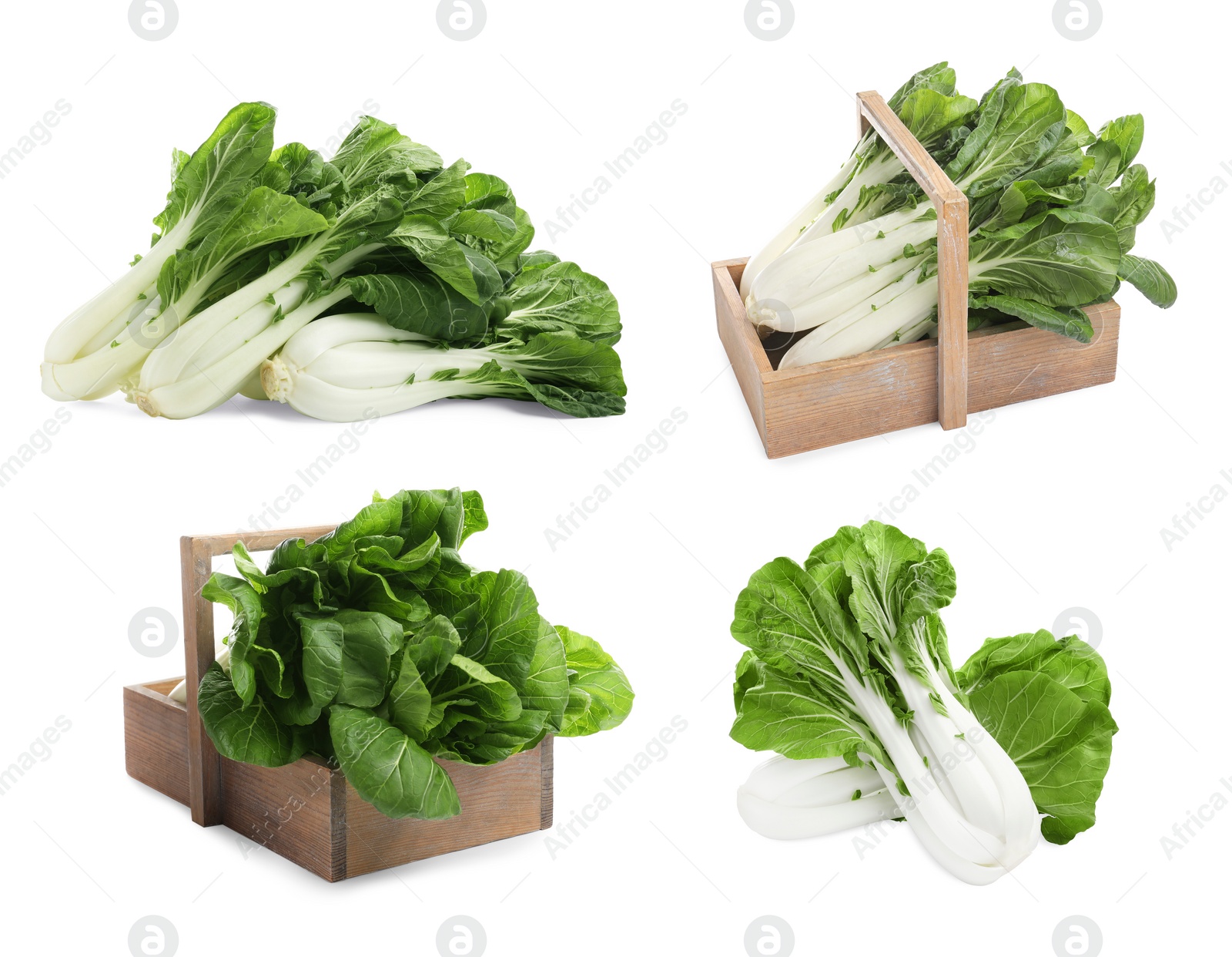 Image of Collage with fresh pak choy cabbages on white background