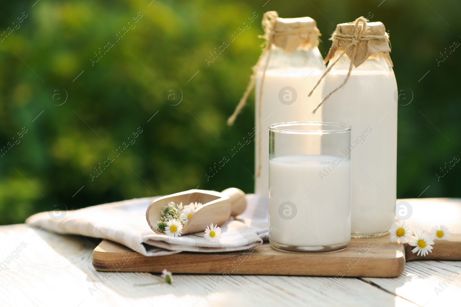 Photo of Tasty fresh milk and chamomile flowers on white wooden table, space for text